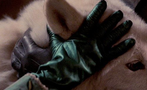 movie-gifs:Bram Stoker’s Dracula (1992) dir. Francis Ford Coppola