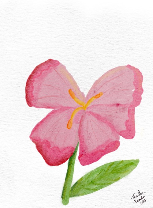 Ferry Doodles - More Flowers