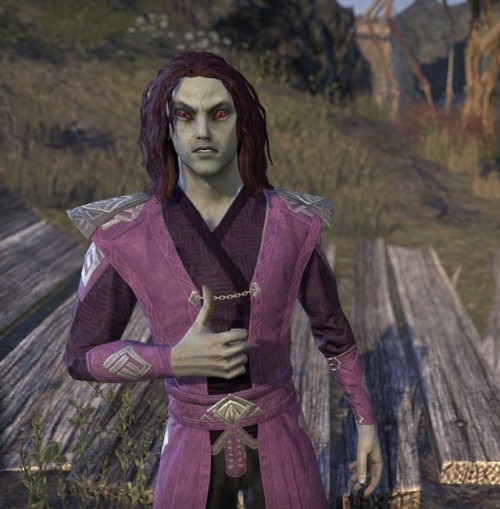 frostfallarcher: ESO Elves I LOVEPart Three “I’m a natural disaster masquerading as