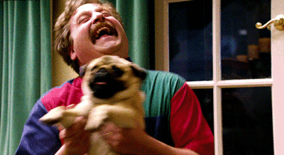 Pug Can't Figure Out Which Door Is Open - Señor GIF - Pronounced GIF or JIF?