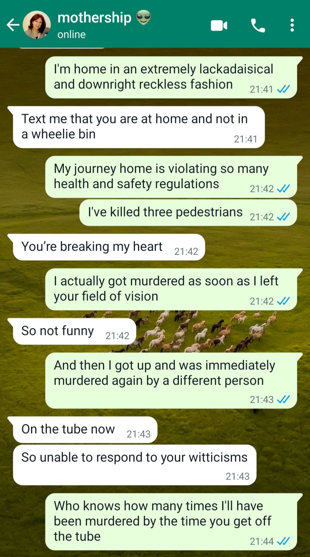 beaft:beaft:nothing brings me more joy than repeatedly doing a bit that my mother