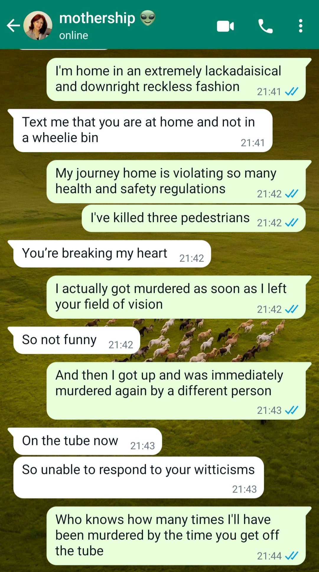beaft:beaft:nothing brings me more joy than repeatedly doing a bit that my mother