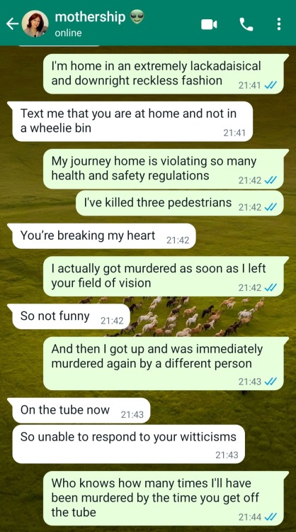 beaft:beaft:nothing brings me more joy than repeatedly doing a bit that my mother