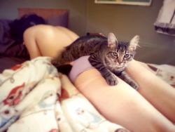 shilosinclair:  I have a cat on my ass.