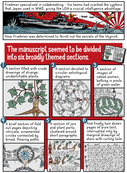 andywarnercomics:  There’s a book out there that’s either one of the last great unsolved cyphers or a massive medieval hoax. Welcome to the weird world of the Voynich Manuscript. And no, it isn’t solved yet. I did this comic for The Nib last year