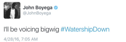 robotlyra:soulstarchaser:fuckyeahjohnboyega:John Boyega and #WatershipDownAHHHHHHHHH MY HEART!!!!! ❤