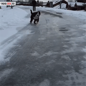 dom-wolfy:   Video  On my way to steal your girl.