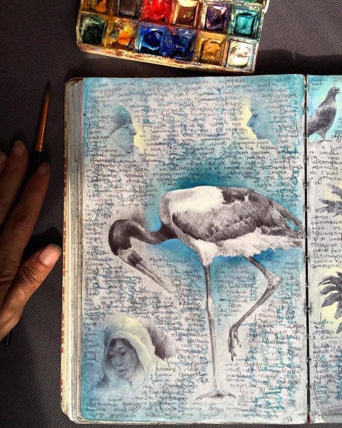 Porn photo itscolossal:  Inside the Well-Traveled Sketchbooks