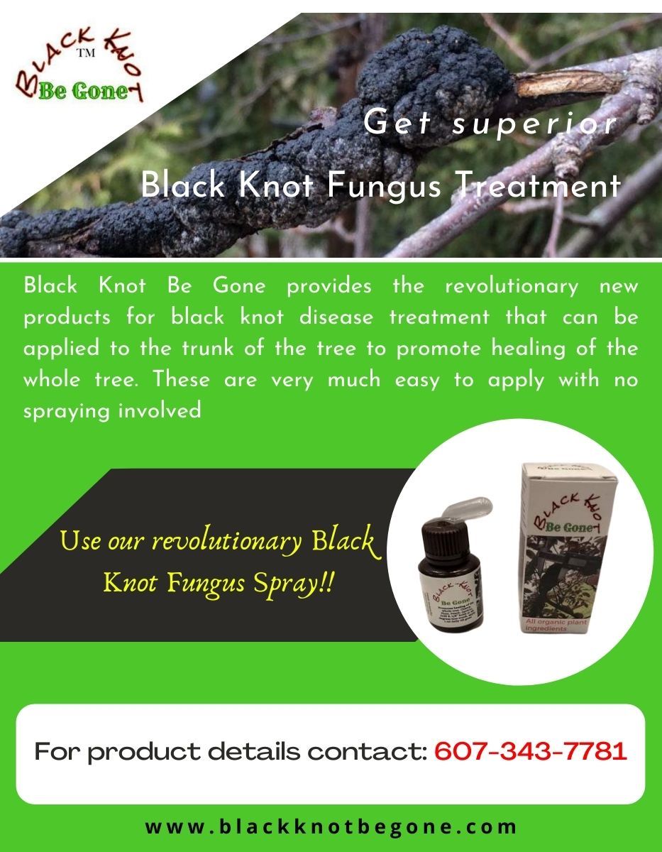 Black KNOT Be Gone ™ Safely promotes healing of the whole tree for Black KNOT di 
