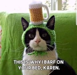 mckitty-vkc: