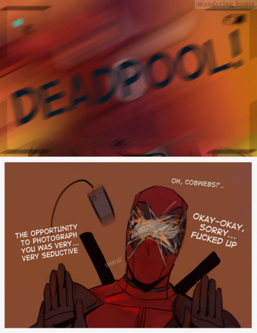 spidepool