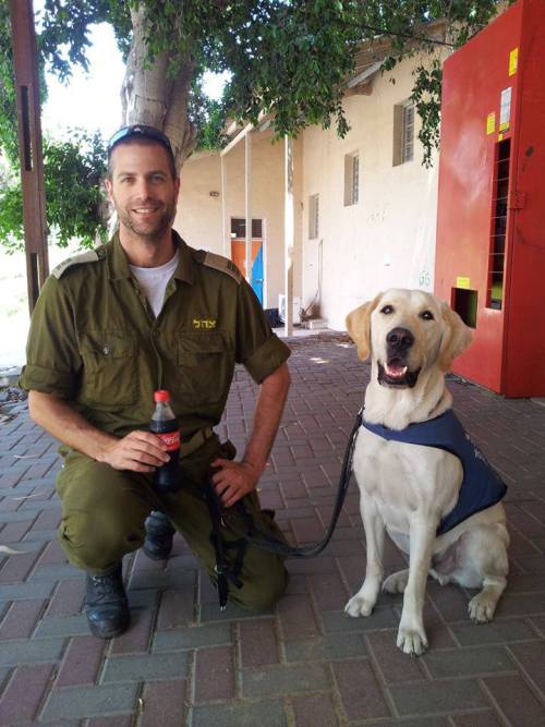 menandtheirdogs:   מרכז ישראלי לכלבי נחיה לעיוורים  Israel Guide Dog Center for the Blind  