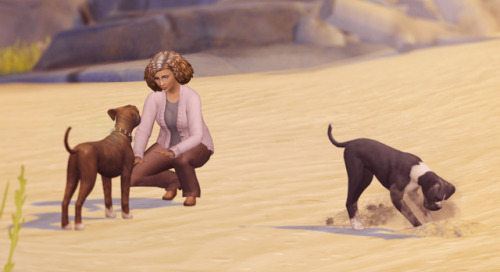 Beach morning! Shelley tries to convince Paco to sit while Queenie gets into all sorts of trouble.