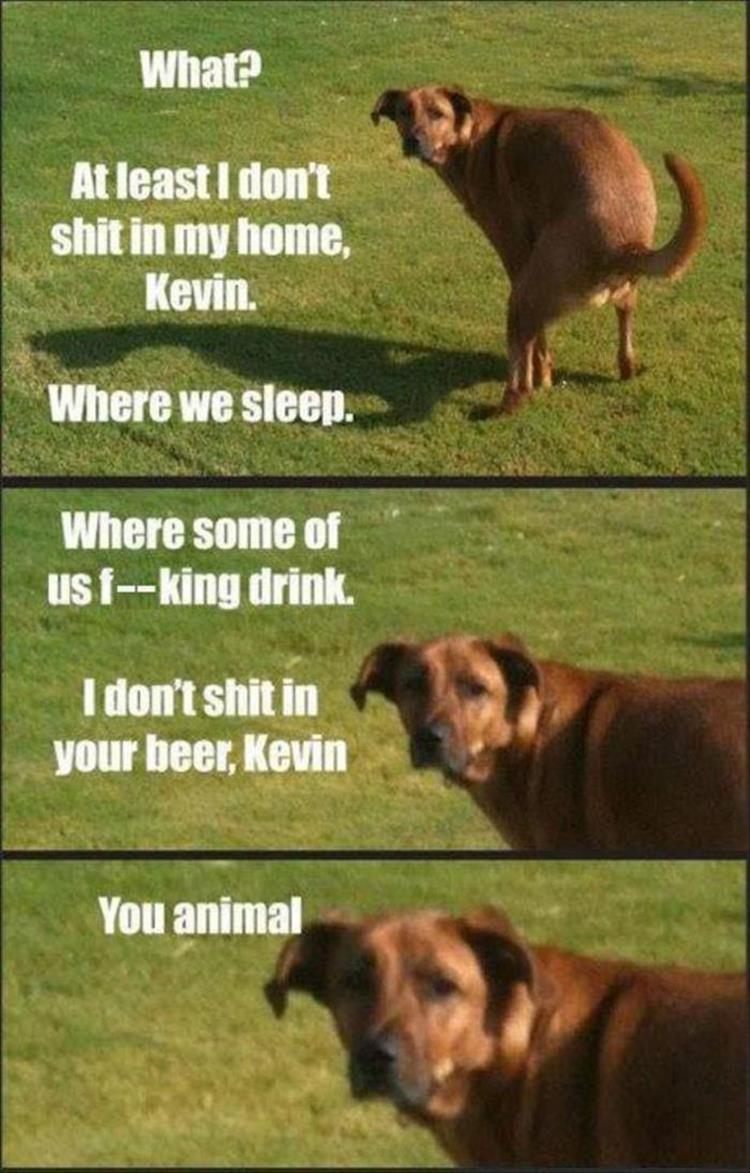 pr1nceshawn:  Life with pets. 