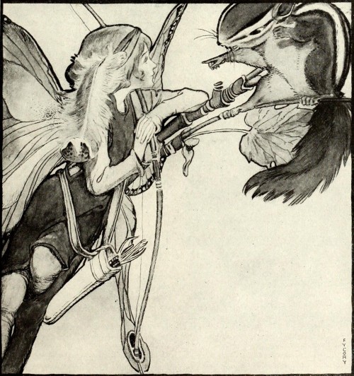 Fanny Y. Cory ~ A Fairy Converses with a Chipmunk (High Life) ~ St. Nicholas ~ October 1915 ~ v