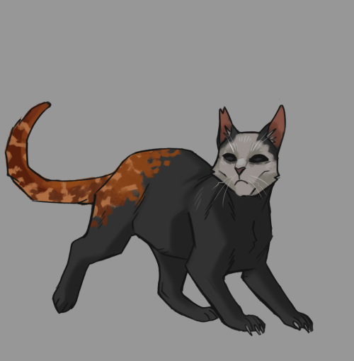 I Remembered I Had Slasher Kitties Series, Heh. Not Sure If It's A Finall Design For Mikey, But He Would