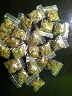 Stoney-Daze:  That One Orange Bag. 