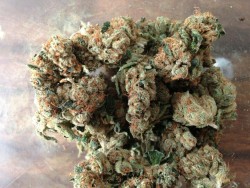 coloradokushhh:  smokeymcpotsmoker:  some homegrown kush -no edit  looks like hellaaa bomb homegrown ! 