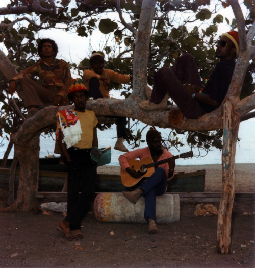 The Wailers Photo Session At Hellshire Beach:  &frac12;The Wailers at one of there favorite