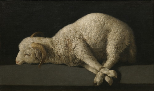 maria-aegyptiaca:Lamb of God, Francisco de