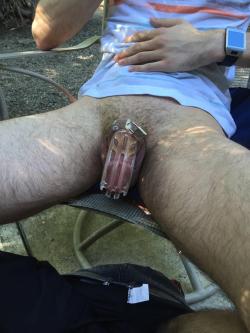 pupboy91:  So i got a chastity thingy….