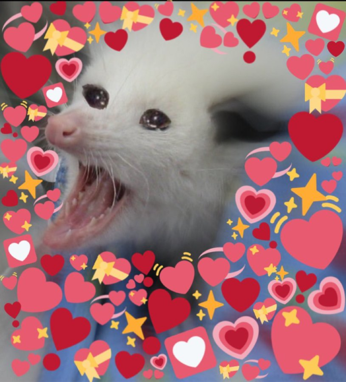 Crying Expression Meme Explore Tumblr Posts And Blogs Tumgir Crying Expression Meme Explore Tumblr Posts And Blogs Tumgir