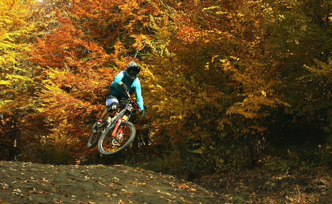 analog-pl:  ©Lukasz Furczyk