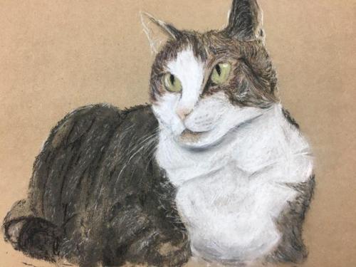 Porn Here’s a drawing of my chubby kitty, Frosting, photos