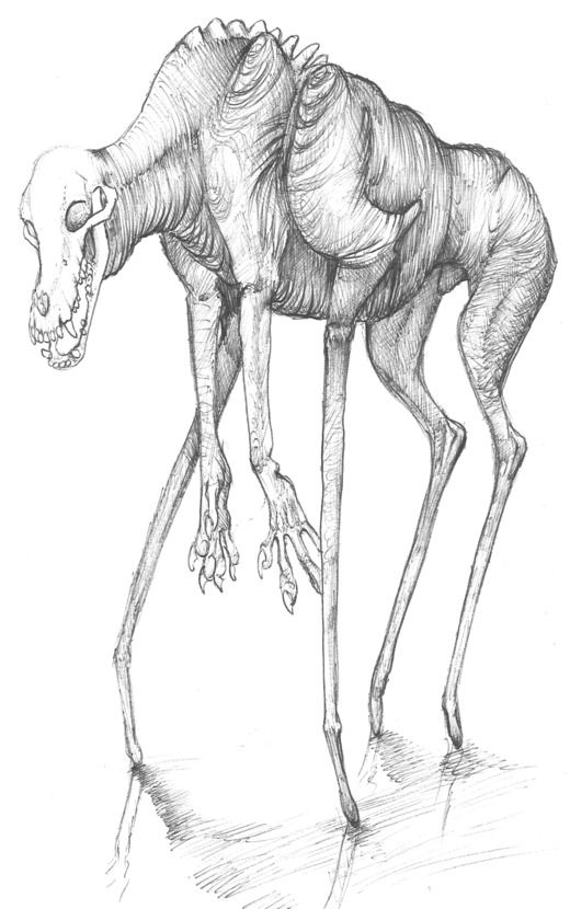 siryl:  Sketches by Dragon-Shark a.k.a. Edible-Nightmares. 