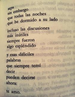 hachedesilencio:  Charles Bukowski