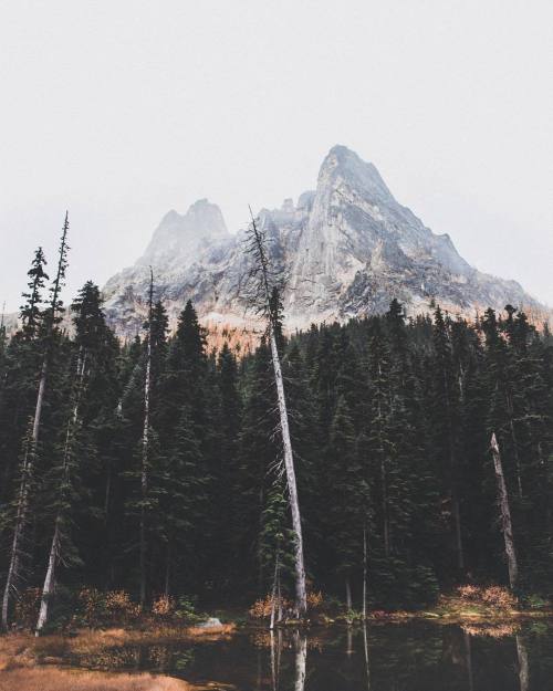 eyeleaves: photo by Kyle Houck on Instagram