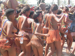 Indoni Cultural Carnival, via Beyond Zulu.