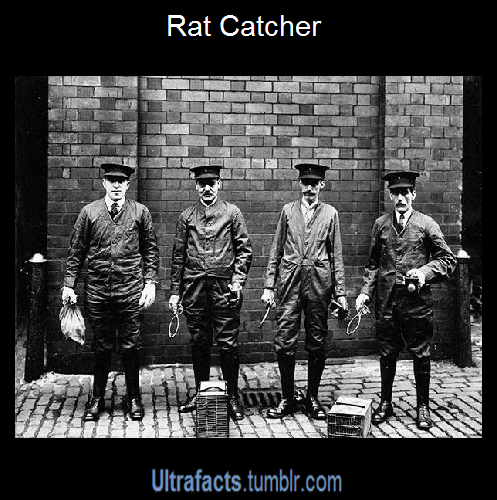 ultrafacts:  Some jobs that are extinct. See more Ultrafacts