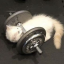 fatplush
