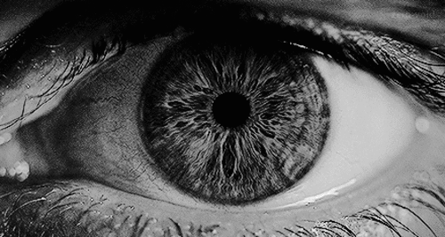 zero-void:  I would like to say to people, open your eyes and find beauty where you normally don’t expect it.  -  Jean Paul Gaultier