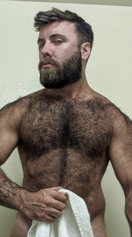 Teddy Bear
