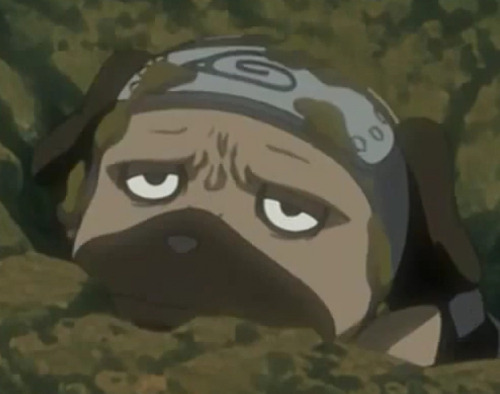 I Absolutely Love The Fact That Kakashi Doesn't Care About His Image In Front Of The Whole World, He'd
