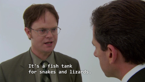 julia-beans:at what point in my life did I become dwight 