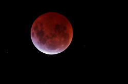 ahangmansjoke:Lunar Eclipse Blood Moon by Michael