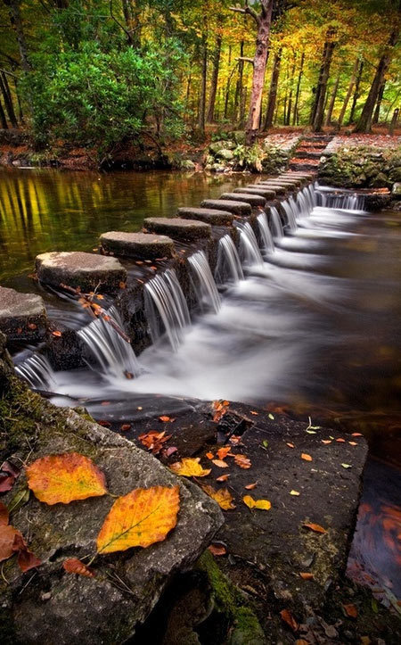 gyclli:  Stepping Stones, Tollymore, Ireland   mostbeautifulpictures.net 