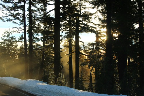 Sex universal-wanderer:  Crater Lake National pictures