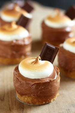 do-not-touch-my-food:S'mores Mini Cheesecakesdrool