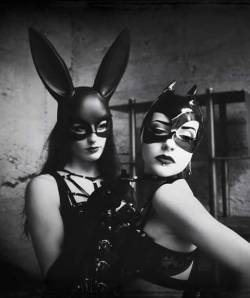 Are you a good bunny or a bad bunny? 😈😈😎