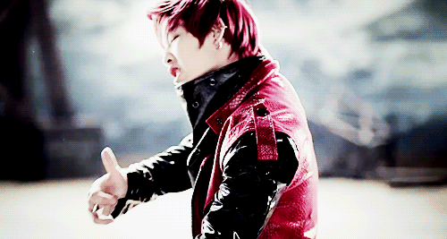 d-aehyuns:  [ Z E L O ] 