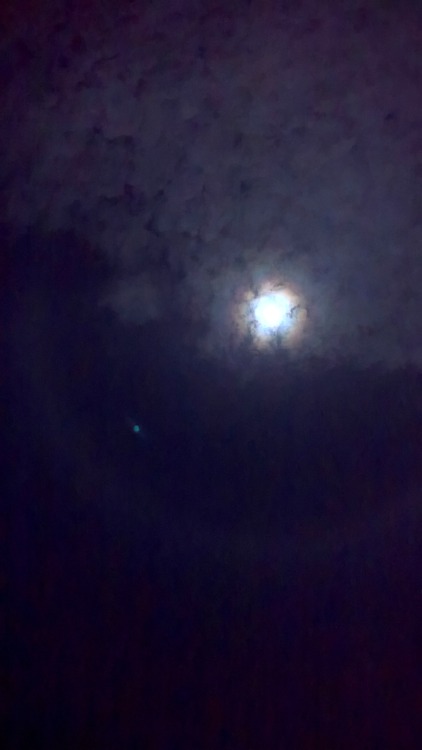 c0ry-c0nvoluted:  The moon looked so cool last night. Tomorrow (11/14/16) is supposed to be a Super Moon: the biggest it will be for 20 years or so. I couldn’t get the moons details with my phone, but how the clouds cute the ring around the moon in