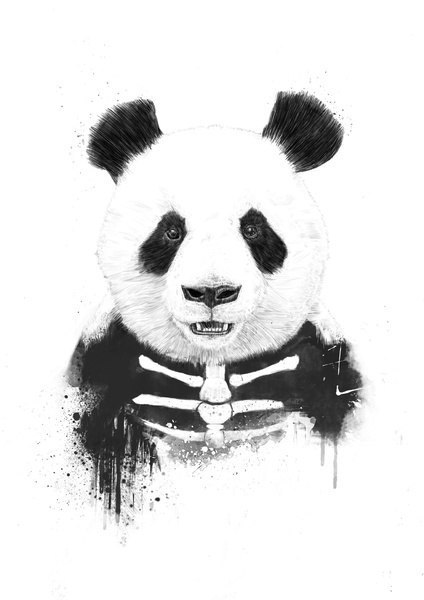 the-real-eye-to-see:  Do not mess with panda
