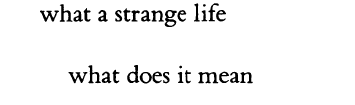 sideeffectsinclude:  [image description: a quote from the Selected Poems by Frank O’Hara. ‘what a strange life what does it mean]
