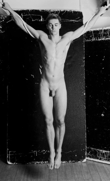 🐧 You Must Be Gay+ To View This Blog*