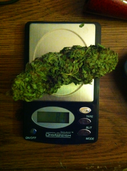 ohgreenw0rld:  droplsdinhalethc:  this nug