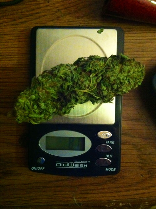 ohgreenw0rld:  droplsdinhalethc:  this nug was so dank  This had like 2 notes yesterday ;) 